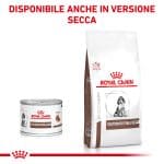 RC-VHN-GastrointestinalPuppyDogMousseCan-195g-CV-Eretailkit-6-it_IT