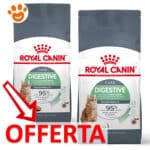 Royal-canin-cat-fcn-digestive-mp