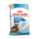 Royal-canin-starter-mother-maxi