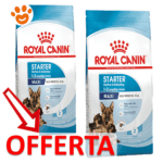 Royal-canin-starter-mother-maxi-2