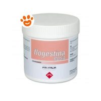 FM Italia Horse Flogestina Rosa