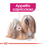 rc-ccn-exigent-mini (1)