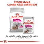 rc-ccn-exigent-mini (4)