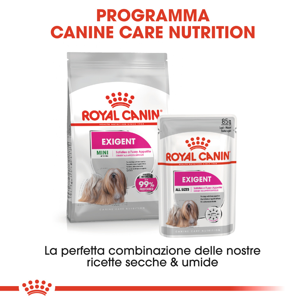 rc-ccn-exigent-mini (4)