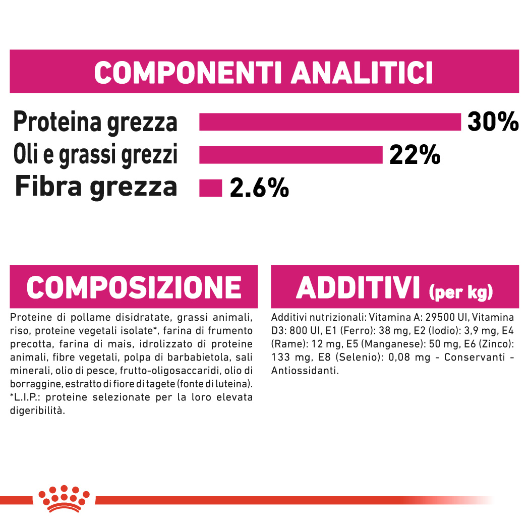 rc-ccn-exigent-mini (6)