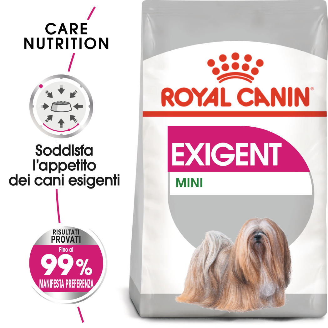 rc-ccn-exigent-mini (7)