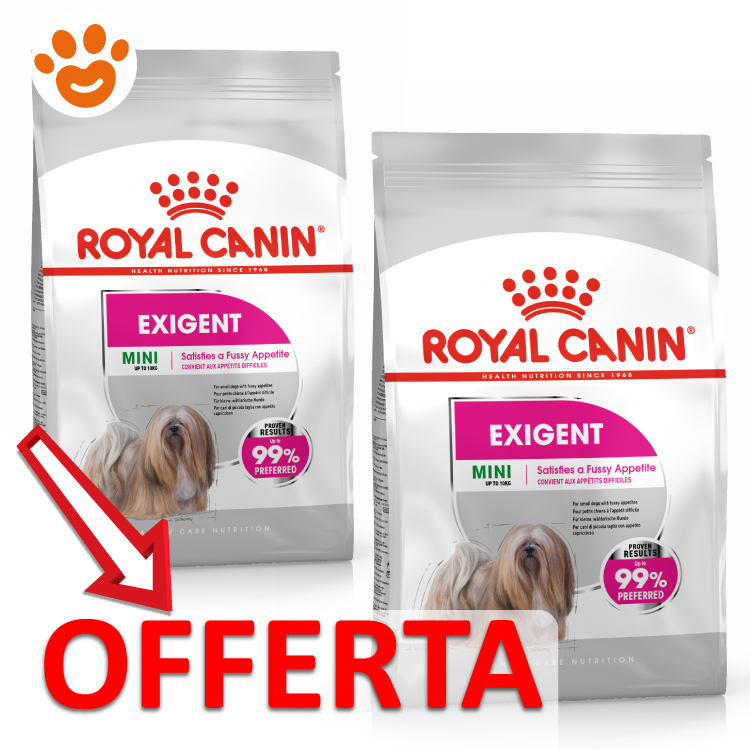 rc-dog-ccn-exigent-mini-mp