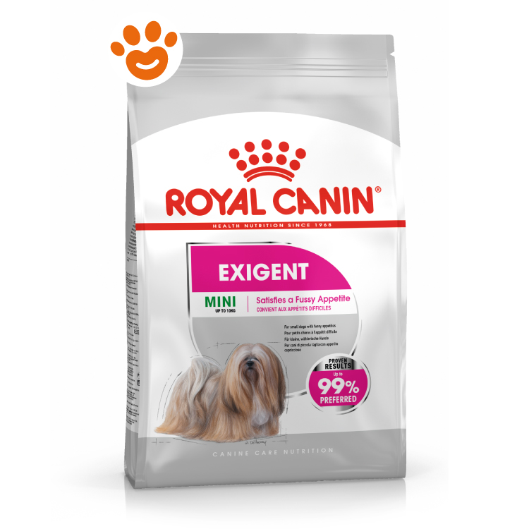 rc-dog-ccn-exigent-mini
