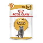 royal-canin-adult-british-shorthair