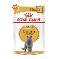 Royal Canin Cat Adult British Shorthair