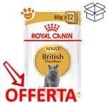 royal-canin-adult-british-shorthair-mp