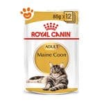 royal-canin-adult-maine-coon