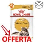 royal-canin-adult-maine-coon-mp