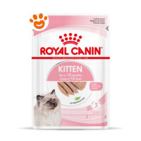 Busta Royal Canin Kitten umido per gattini
