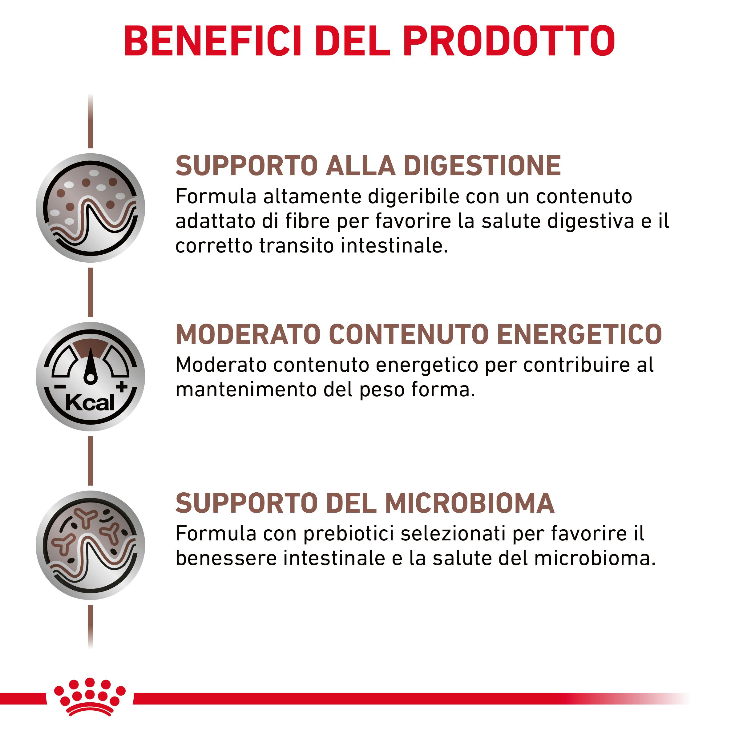 royal-canin-cat-veterinary-diet-gastrointestinal-moderate-calorie-gallery (2)