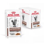 royal-canin-cat-veterinary-diet-gastrointestinal-moderate-calorie-gallery (9)