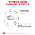 royal-canin-cat-veterinary-diet-urinary-s-o-in-pate-gallery (2)