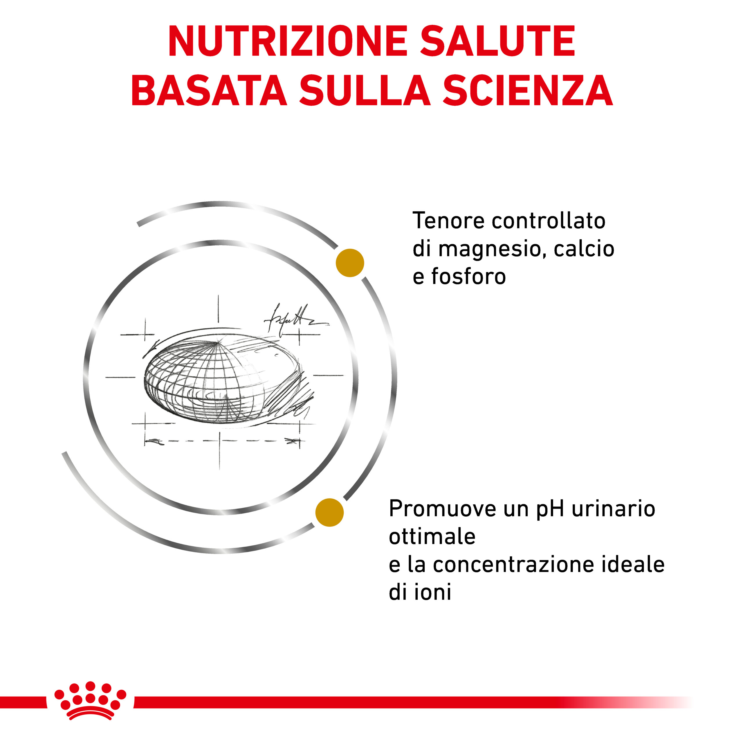 royal-canin-cat-veterinary-diet-urinary-s-o-in-pate-gallery (2)