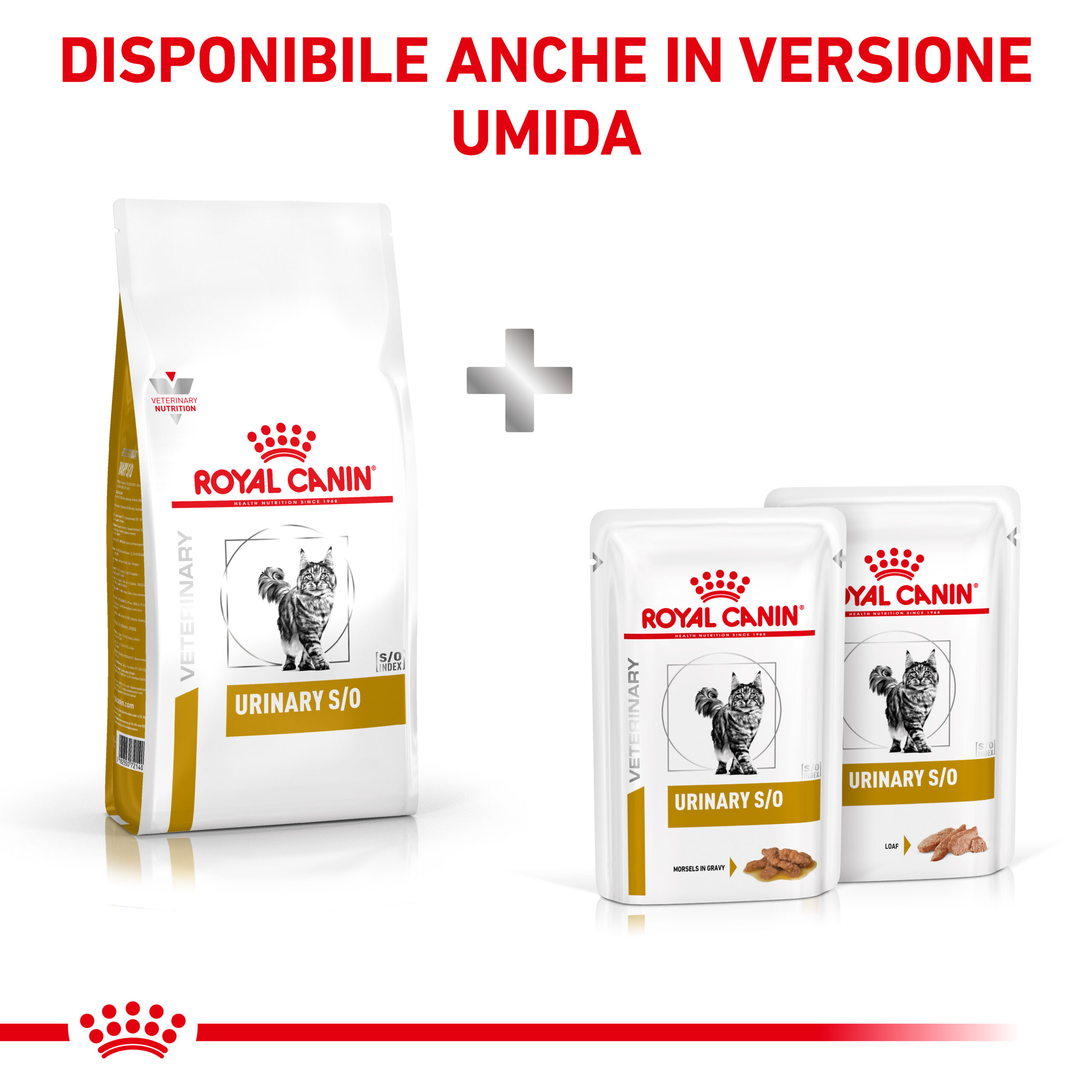 royal-canin-cat-veterinary-diet-urinary-s-o-in-pate-gallery (5)