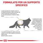 royal-canin-cat-veterinary-diet-urinary-s-o-in-pate-gallery (6)