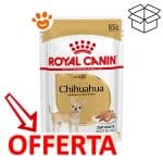 royal-canin-chihuahua-mp