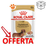 royal-canin-dog-adult-dachshund-bassotto-mp