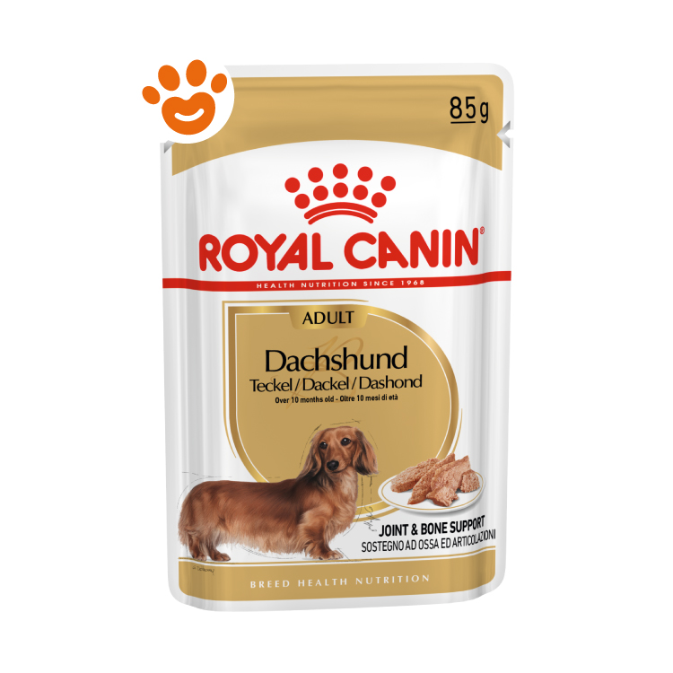 royal-canin-dog-adult-dachshund-bassotto