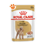 royal-canin-dog-adult-poodle-barboncino