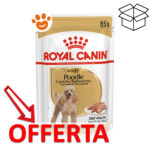 royal-canin-dog-adult-poodle-barboncino-mp
