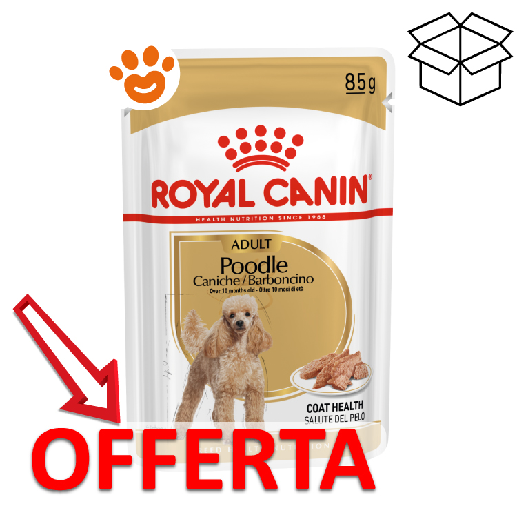 royal-canin-dog-adult-poodle-barboncino-mp
