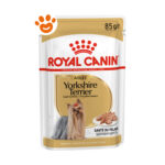 royal-canin-dog-adult-yorkshire-terrier