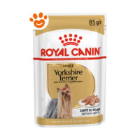 Royal Canin Dog BHN Adult Yorkshire Terrier