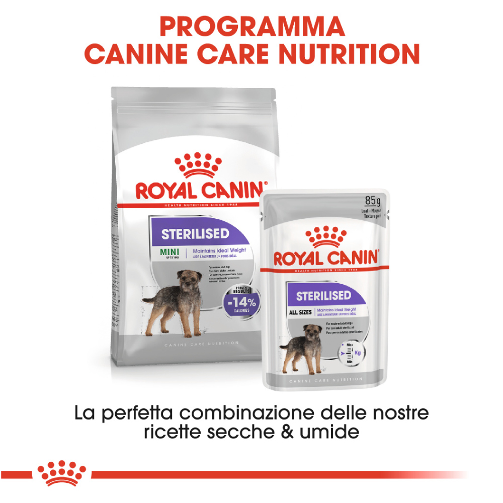 royal-canin-dog-ccn-mini-sterilised-gallery-3