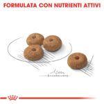 royal-canin-dog-ccn-mini-sterilised-gallery-4