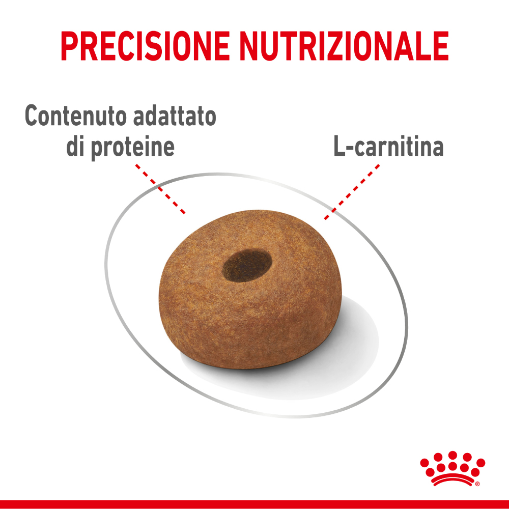 royal-canin-dog-maxi-light-weight-care-gallery-3