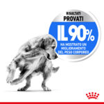 royal-canin-dog-maxi-light-weight-care-gallery-6