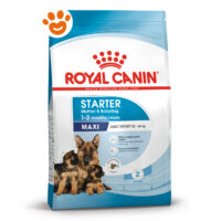Sacco Royal Canin Starter Maxi per cuccioli