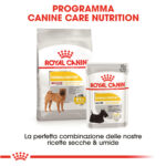 royal-canin-dog-medium-dermacomfort-gallery-2