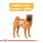 royal-canin-dog-medium-dermacomfort-gallery-5