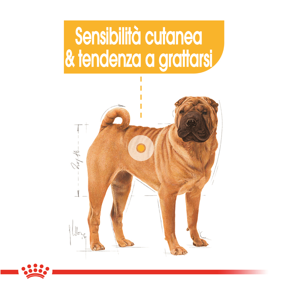 royal-canin-dog-medium-dermacomfort-gallery-5