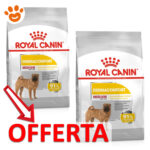 royal-canin-dog-medium-dermacomfort-mp
