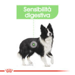 royal-canin-dog-medium-digestive-care-gallery (1)
