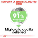 royal-canin-dog-medium-digestive-care-gallery (2)