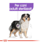 royal-canin-dog-medium-sterilised-gallery (1)