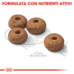royal-canin-dog-medium-sterilised-gallery (3)