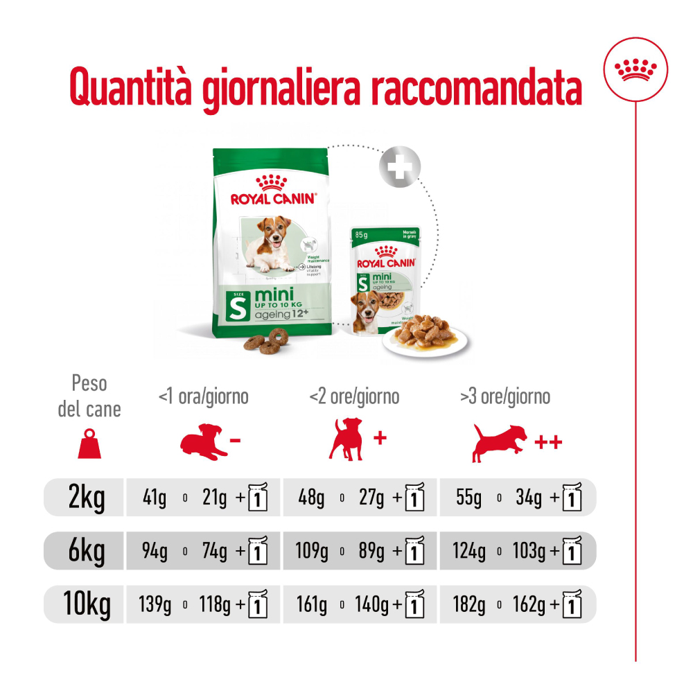 royal-canin-dog-mini-ageing-12-gallery-4