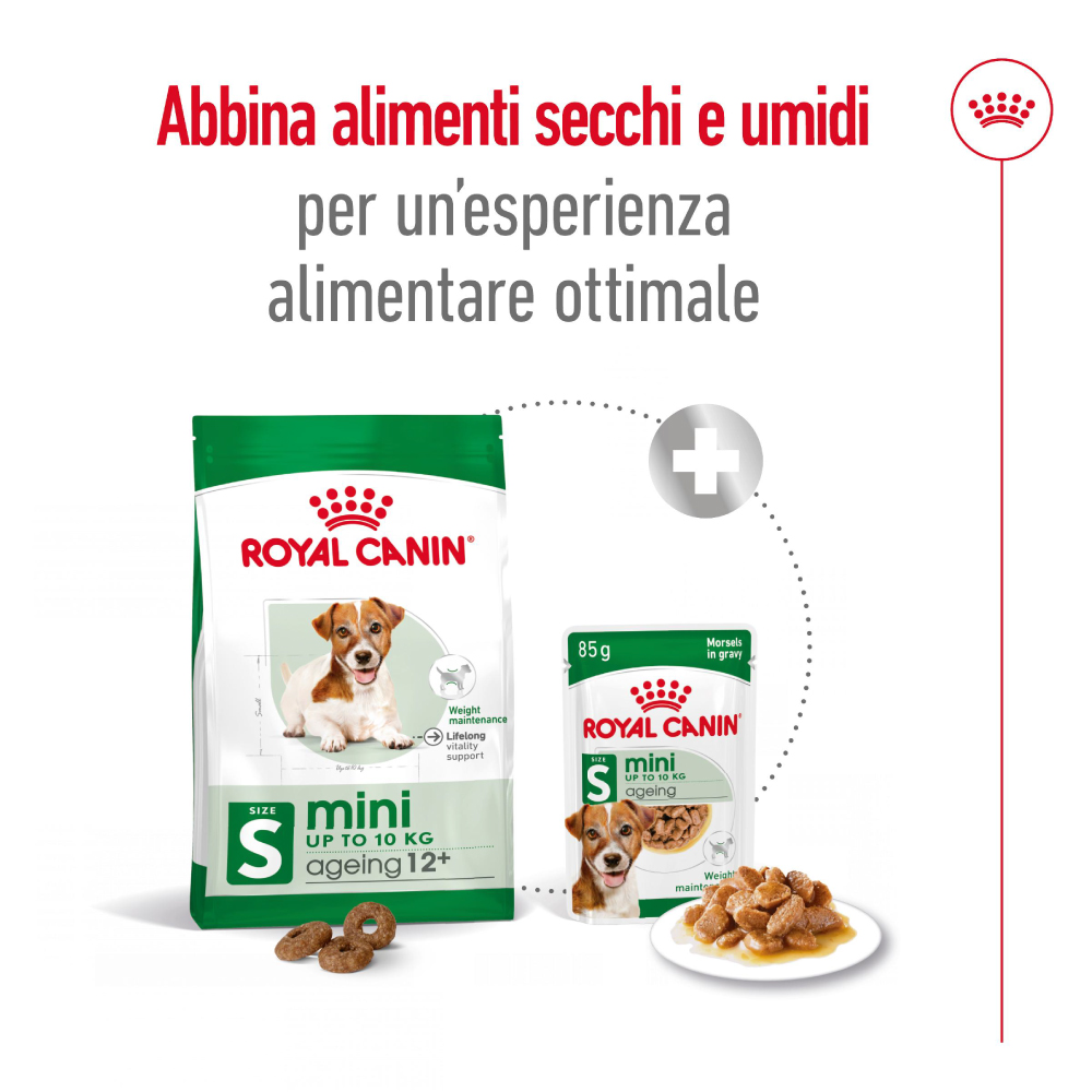 royal-canin-dog-mini-ageing-12-gallery-6
