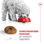 royal-canin-dog-mini-ageing-12-gallery-8
