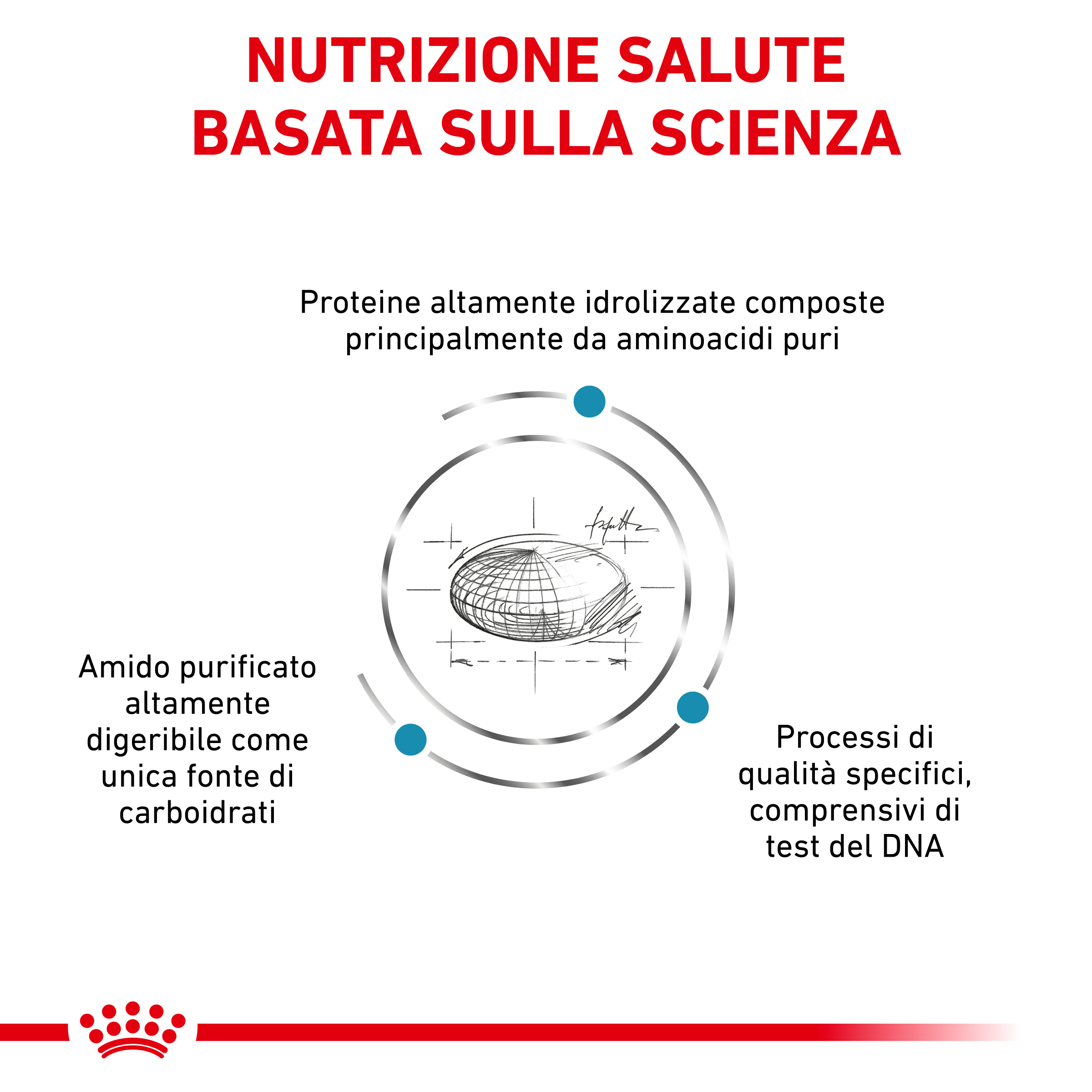 royal-canin-dog-veterinary-diet-anallergenic-gallery (1)