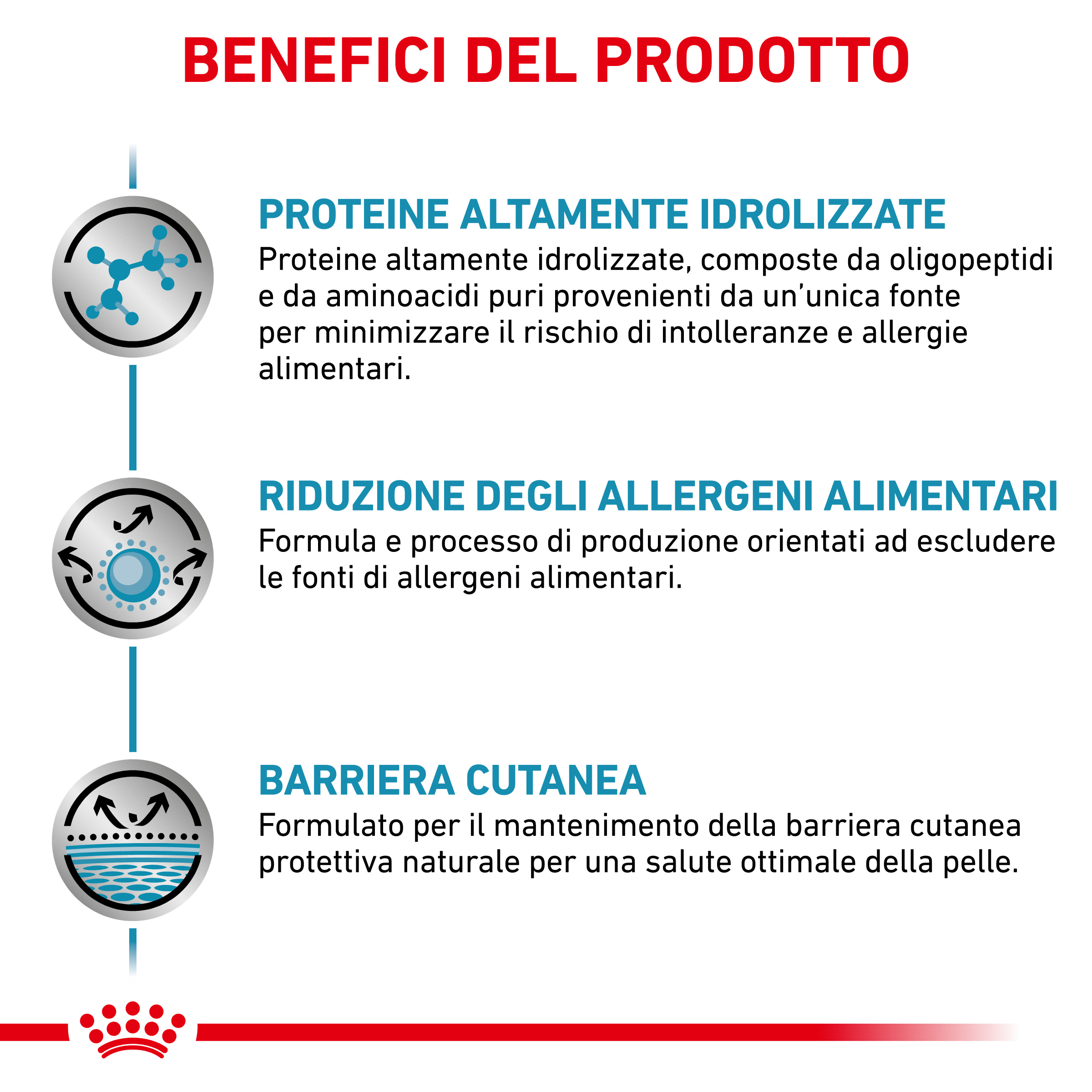 royal-canin-dog-veterinary-diet-anallergenic-gallery (2)